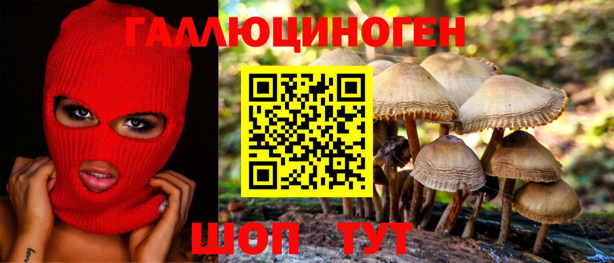 Дальнереченск  Псилоцибиновые грибы Psilocybe  Галлюциногенные грибы ЛСД  Вход с VPN 