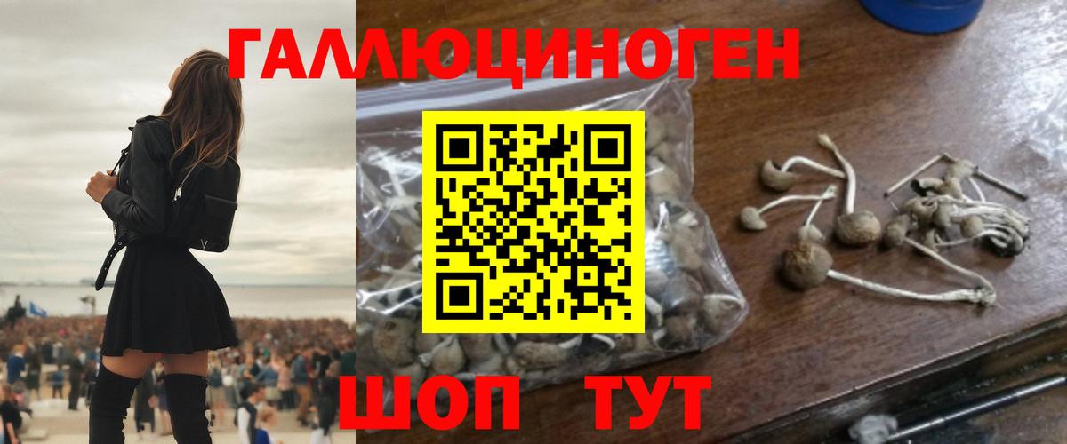 Псилоцибиновые грибы мухоморы Дальнереченск